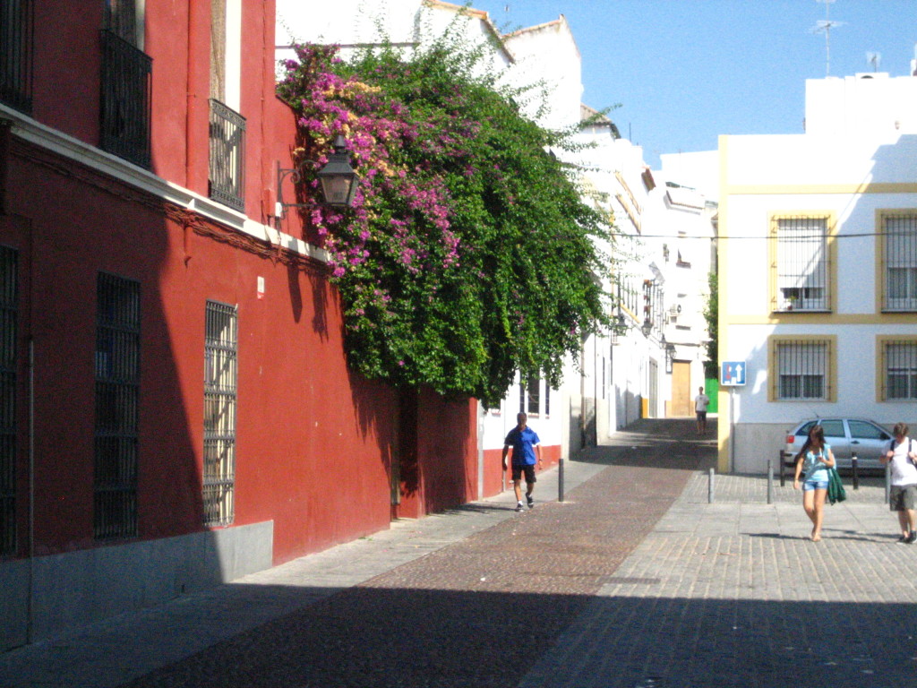 A street in Cordoba 