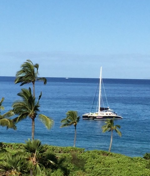 Whale-watching boat