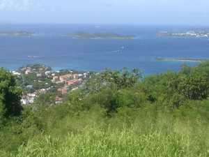 View from Caneel Hill